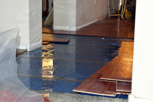 Professional Emergency Water Damage Restoration technician working in Worley, ID